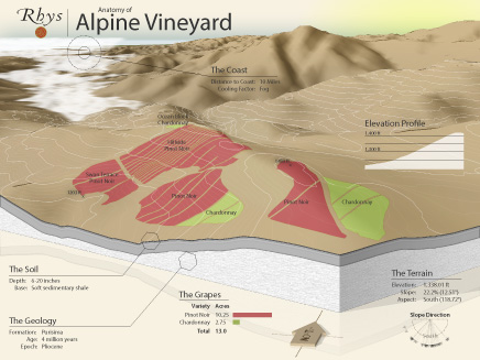 Vineyard Map
