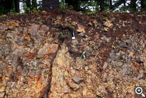 The Monterey shale is quite fractured which allows deep root penetration into the rock strata. Notice the tree root descending from the bottle to the bottom of the picture.