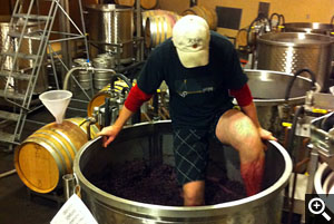 Though we have grown, we still make wine with the same labor-intensive small vats and foot punchdowns.