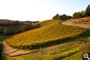 Looking across the heart of Alpine. D Block in the foreground, Hillside in the evening light behind, and Swan Terrace in the distance on the left.
